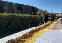 В Нарыне приготовили 30-метровую шаурму