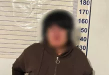 В Сокулукском районе задержана женщина. Продавала чужие земельные участки