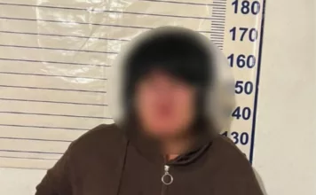 В Сокулукском районе задержана женщина. Продавала чужие земельные участки