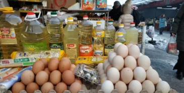 Кыргызстан кант жана жумуртка боюнча өзүн-өзү толук камсыз кыла баштады Главная