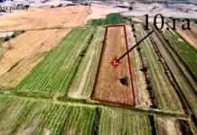 В Иссык-Ате на баланс государства возвращено 226 га земель