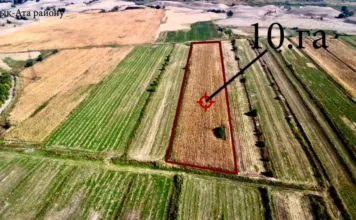 В Иссык-Ате на баланс государства возвращено 226 га земель