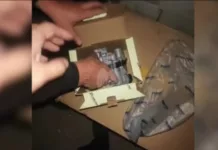 Налоговики пресекли незаконный ввоз товаров на 4,6 млн сомов