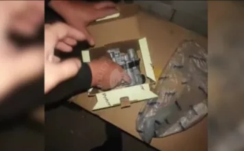 Налоговики пресекли незаконный ввоз товаров на 4,6 млн сомов