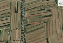 Базар-Коргондогу жер тилкелери мамлекетке кайтарылды