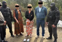 Кыргызстанда Ооганстандан баңгизат ташыган жол жабылды