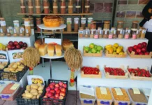 Бүгүндөн тарта Бишкекте «Алтын күз» азык-түлүк жарманкеси башталат