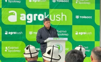 Кеминде жылына 15 миң тоннага чейин тоок эти өндүрүлөт