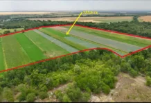 Государству вернули 795 гектаров сельскохозяйственных земель в Чуйской области