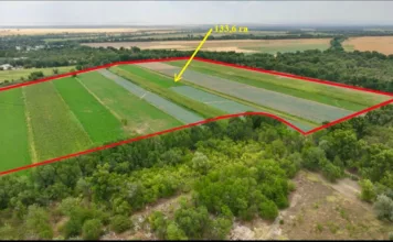 Государству вернули 795 гектаров сельскохозяйственных земель в Чуйской области