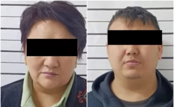 Задержаны подозреваемые в махинациях с земельными участками в Маевке