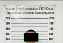 ГКНБ задержал начальника ОБДД Нарынского района