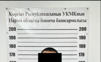 ГКНБ задержал начальника ОБДД Нарынского района