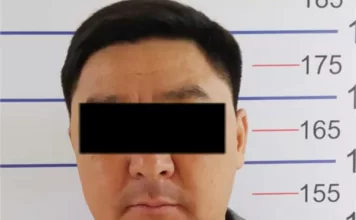 Незаконное строительство в Кок-Жаре. Задержан аким Ноокатского района