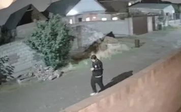 Бишкекте эки адам өлтүрүлдү. Шектүү изделип жатат