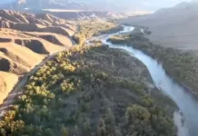 Государству вернули земельный участок пансионата «Маринка» площадью 12 га