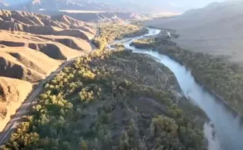 Государству вернули земельный участок пансионата «Маринка» площадью 12 га