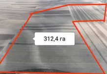 ГКНБ КР возвращено 2319 га незаконно используемых земель в Тюпском районе