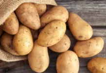 Кыргызстан картошканы импорттоого чектөө киргизиши мүмкүн