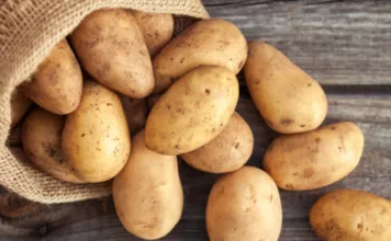 Кыргызстан картошканы импорттоого чектөө киргизиши мүмкүн