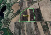 В Панфиловском районе государству возвращены 278 га земель сельхозназначения