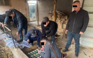 ГКНБ КР задержал сотрудников УВД Ошской области с поличным при получении взятки. Один задержанный оказал сопротивление