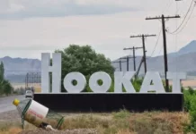 Ноокатта 15 жаштагы бала аттан жыгылып каза болду