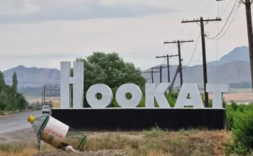 Ноокатта 15 жаштагы бала аттан жыгылып каза болду