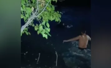 Пьяный водитель, убегая от патрульных, остановил машину возле БЧК и прыгнул в канал