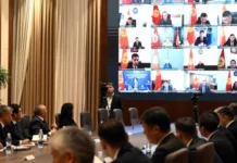 Эми айдоочулук күбөлүктү 1-2 күндө, мектеп ачууга уруксатты 20 күндө алса болот