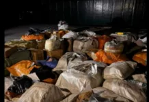 29 млн сомдук товар. Баткенде аткезчилик каналын уюштурган 12 адам кармалды