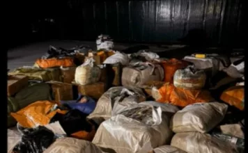 29 млн сомдук товар. Баткенде аткезчилик каналын уюштурган 12 адам кармалды