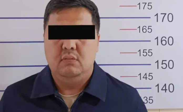 WhatsApp_Image_2025_KckOhyq.2e16d0ba.format-webp.fill-1668x1014