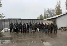 В СЭЗ «Бишкек» задержаны 12 иностранцев, работавших по туристическим визам