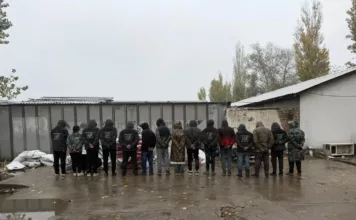 В СЭЗ «Бишкек» задержаны 12 иностранцев, работавших по туристическим визам