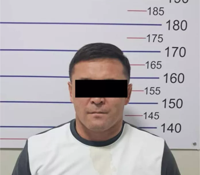 photo_2025-11-07_09-53-03