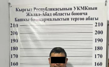 Түркиядан Додик каймана аттуу УКТ мүчөсү кармалып, Кыргызстанга алынып келди