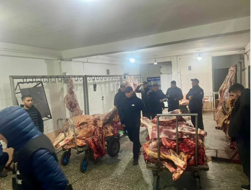 Photo 2025 11 18 09 40 59 3 укмк: эттин баасын атайылап көтөргөндөр жоопкерчиликке тартылат