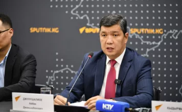 Жилые дома и строения, попавшие в зеленые зоны по проекту нового генплана, сноситься не будут, заявил мэр Бишкека на брифинге в нашем пресс-центре