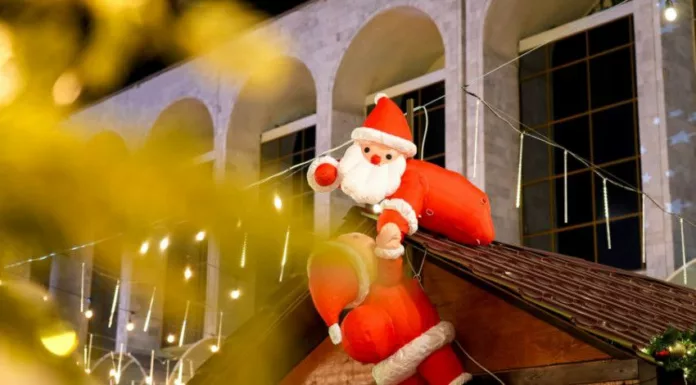 photo_2025-11-20_08-32-45