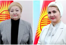 ЦИК дала согласие на привлечение двух кандидаток в депутаты ЖК к уголовной ответственности