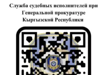 В Кыргызстане запустили онлайн-портал для проверки долгов и запретов на выезд
