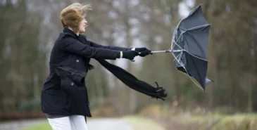 МЧС распространило штормовое предупреждение Главная