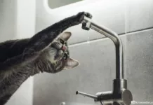 В части Бишкека 25 декабря не будет холодной воды