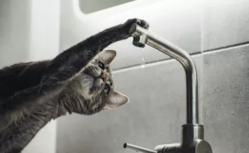 В части Бишкека 25 декабря не будет холодной воды