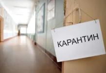 Кыргызстандагы 214 бала бакча карантинге жабылып, 207 мектеп онлайн окууга өттү