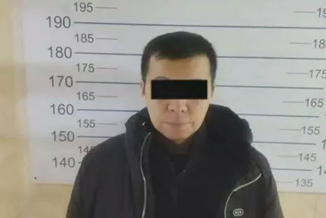 414286_w_h500_1765425692_r