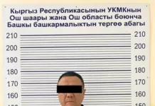 ГКНБ задержал бизнесмена, подозреваемого в финансировании ОПГ Камчы Кольбаева и Кадырбека Досонова