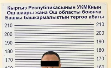 ГКНБ задержал бизнесмена, подозреваемого в финансировании ОПГ Камчы Кольбаева и Кадырбека Досонова