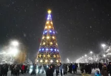 В Таласе зажгли новогоднюю елку на обновленной площади